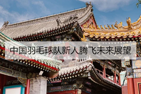 中国羽毛球队新人腾飞未来展望