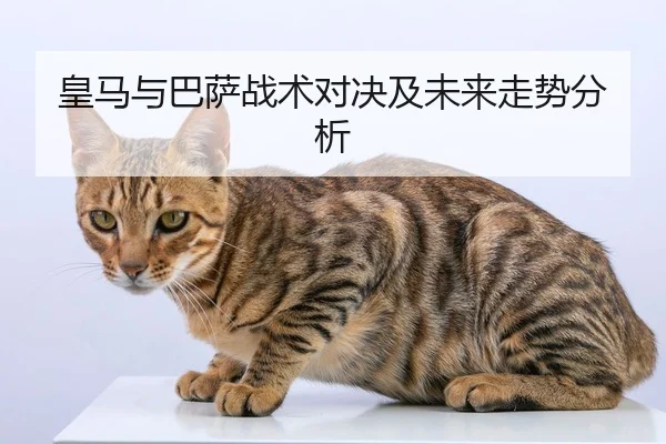 皇马与巴萨战术对决及未来走势分析