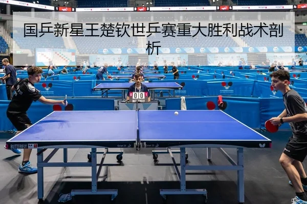 guo-ping-xin-xing-wang-chu-qin-shi-ping-sai-zhong-da-sheng-li-zhan-shu-pou-xi-2-382.jpg